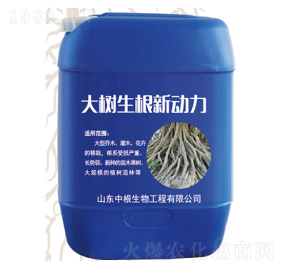 �����������-�и�����