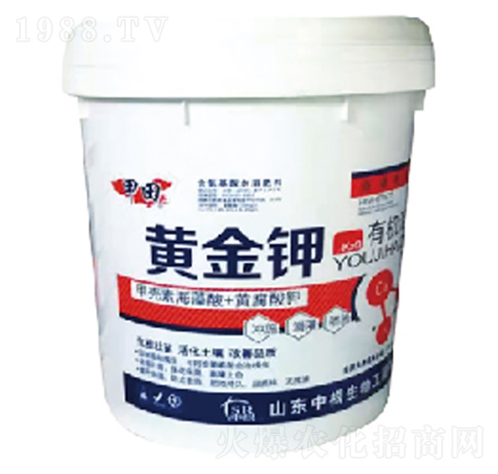 �S���-����-�и�����