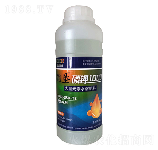 ���1000-��(r��n)��-���A����