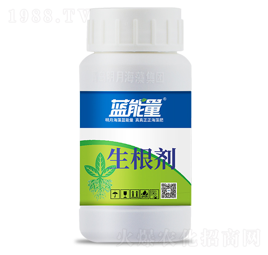 ������-�{����