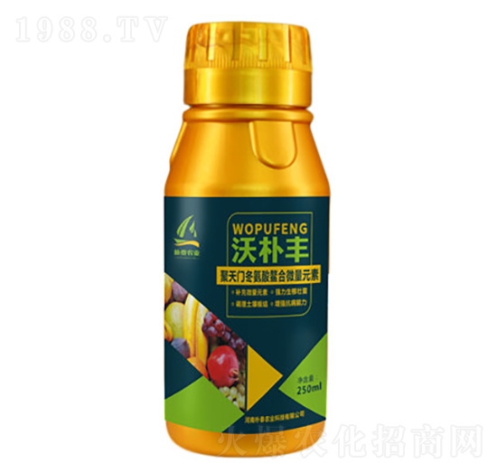 �����T����������΢��Ԫ��-�֘��S-��̩