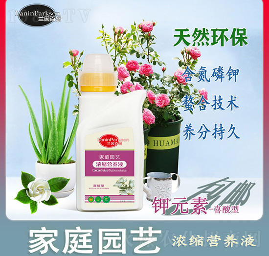 ��ͥ�@ˇ�Ԫ��-ϲ���͝�s�I�B(y��ng)Һ-ïʢ����