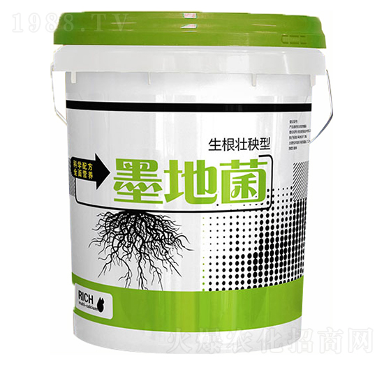 ī�ؾ�����������-���S����