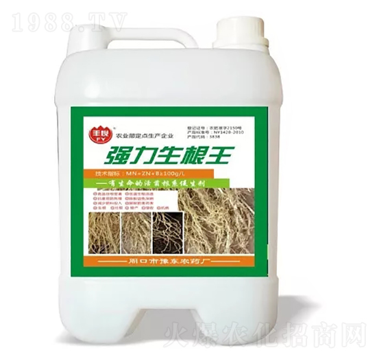 強力生根王-豐悅-史迪克