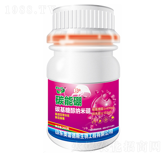 ̼����-�W�׵�˹