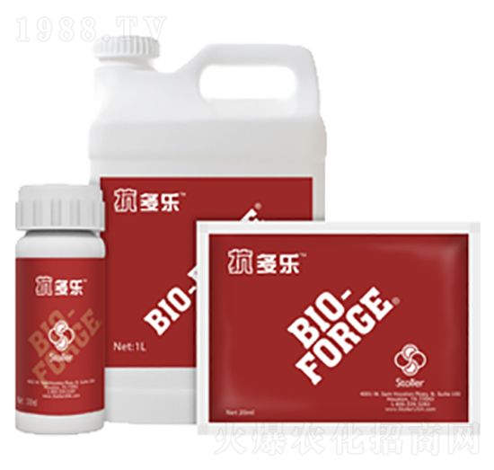 ������-������