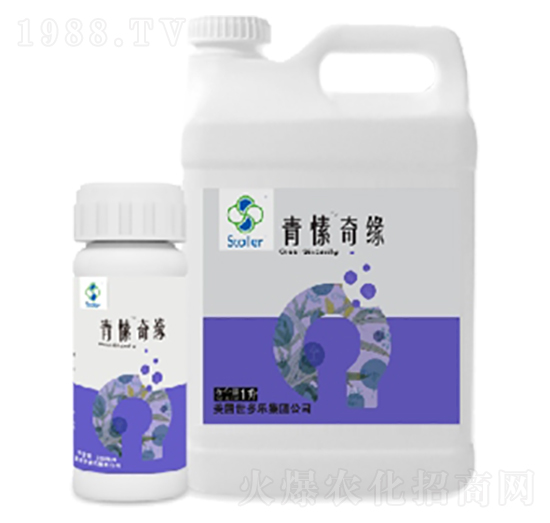 青愫奇緣-世多樂(lè)