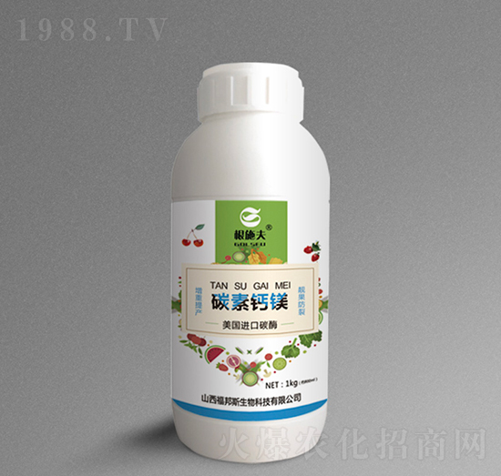 ̼���}�V-��ʩ��-����˹