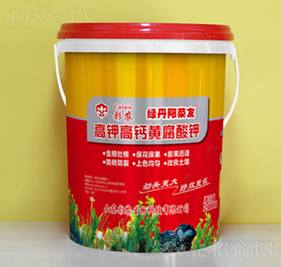 ��⛸��}�S�����-�G��ꖲ˲�