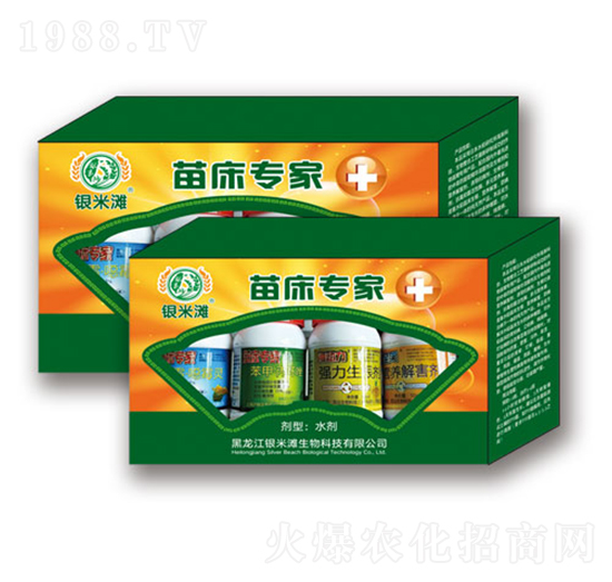 �紲����-�y�מ�����