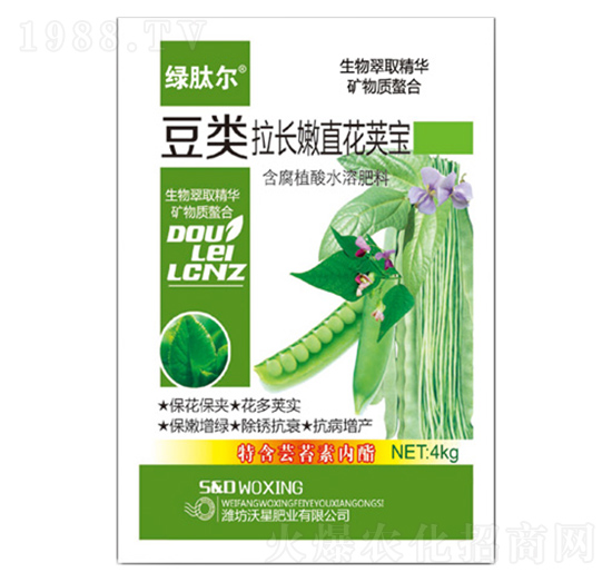 豆類拉長嫩直花莢寶-綠肽爾-沃星肥業(yè)