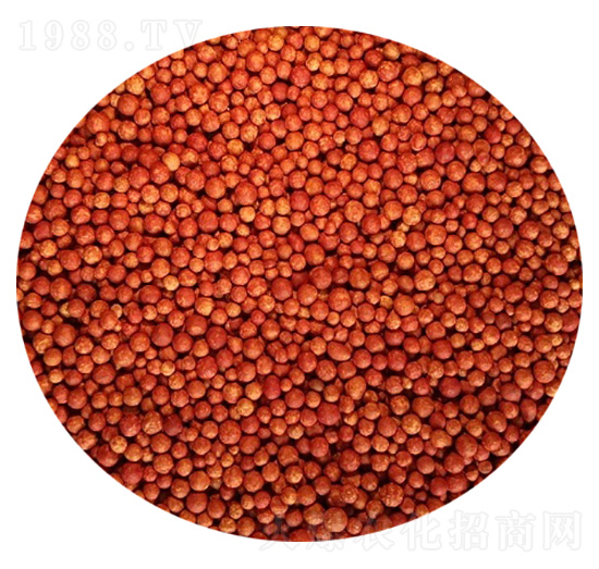 ȫ�I(y��ng)�B(y��ng)�ۺ����Ĥ��ጷ�-�����Ƽ�