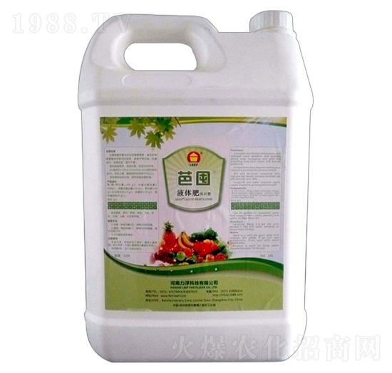 Һ�w��-�Ŷ�-�����Ƽ�