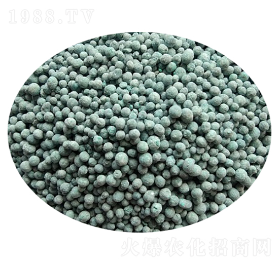 �~�\��3-2-5-�Ŷ�-�����Ƽ�