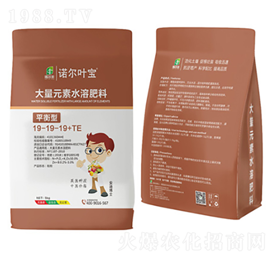 平衡型大量元素水溶肥19-19-19+TE-諾爾葉寶-諾爾豐