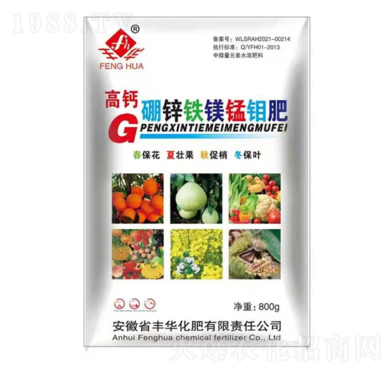 ���}���\�F�V�i�f��-�S�A����