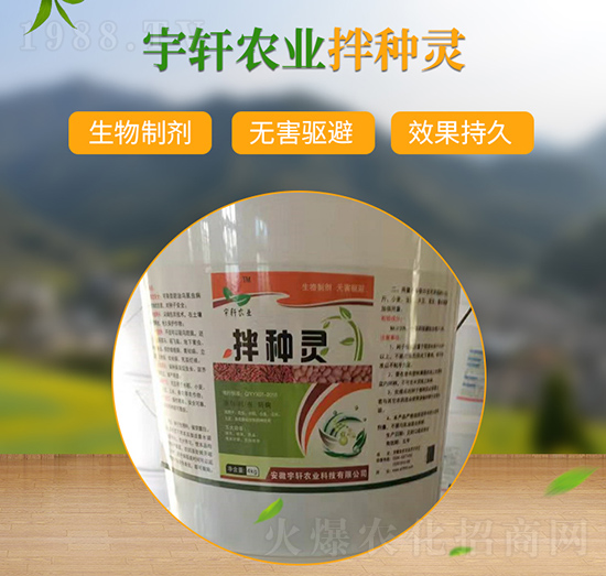 ��N�`-��܎�r�I(y��)