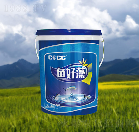 魚好藻-中?；? style=