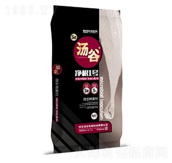 ΢�������-����1̖-��������