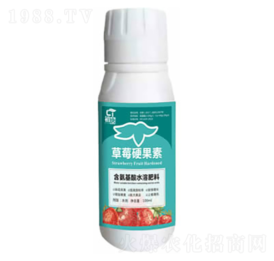 ��ݮӲ����-����-�֮��