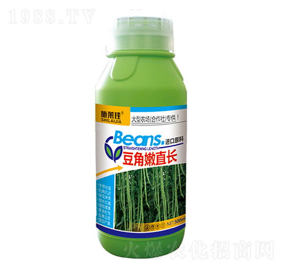豆角嫩直長-施萊佳-盈豐農(nóng)業(yè)