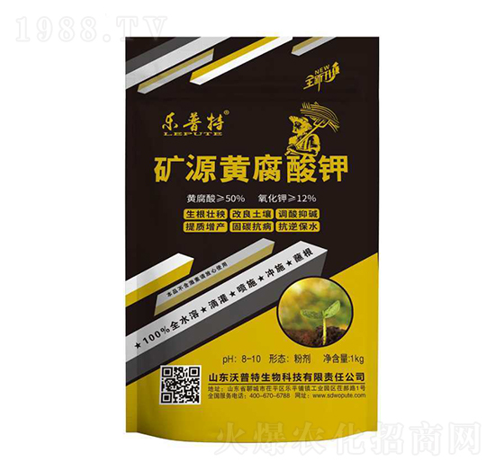 �VԴ�S�����-��(l��)����-������