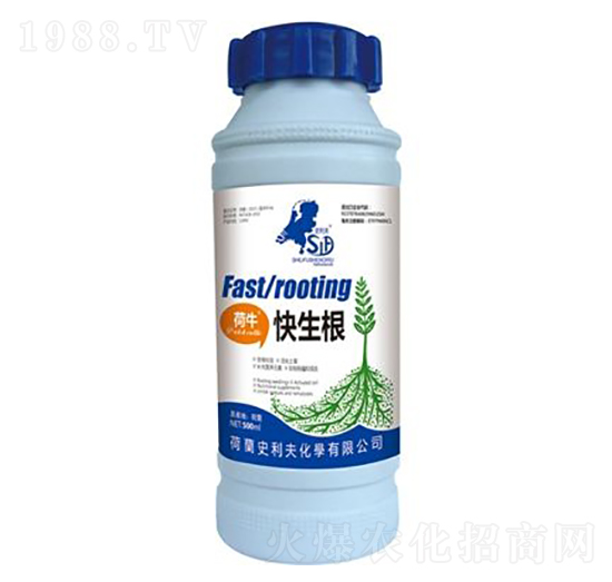 荷?？焐?史利夫