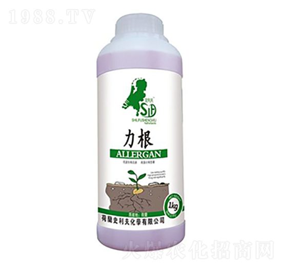 1kg力根-荷牛-史利夫