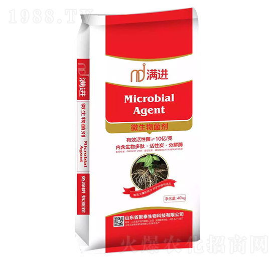 ΢�������-�M�M(j��n)-��̩����