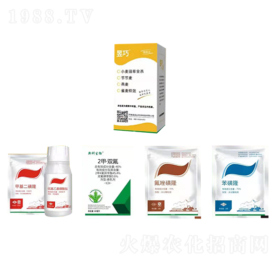 ����С�����ȫ���M�����b-�����_(d��)