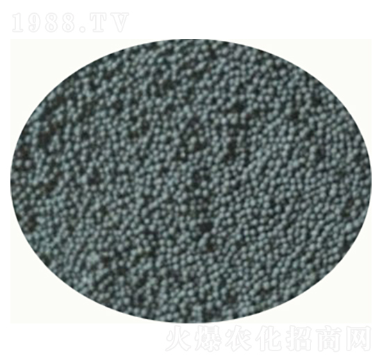 �ͺ�΢���������������⛷ʣ�-�{������