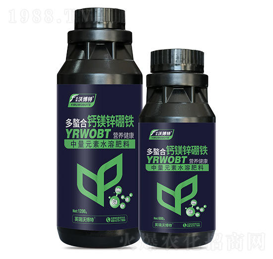 �������}�V�\���F-Ӣ���ֲ���