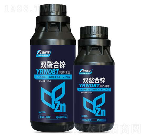 �p�����\-Ӣ���ֲ���