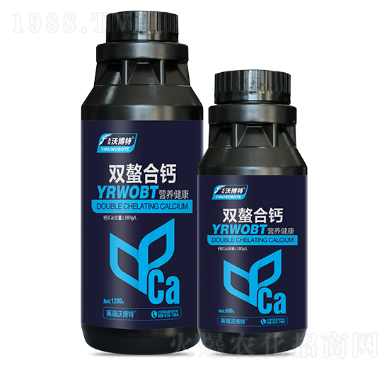 �p�����}-Ӣ���ֲ���