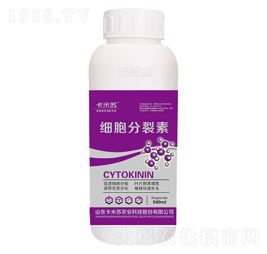 500ml����������-�Z����