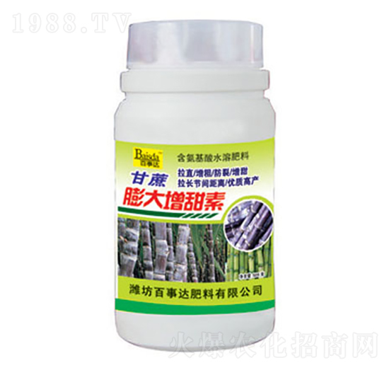 �������������-�����_(d��)