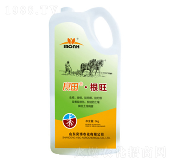 �������-�Ȳ��r��