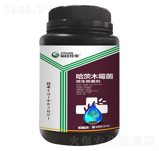 ΢�������������ľù����-������r(n��ng)