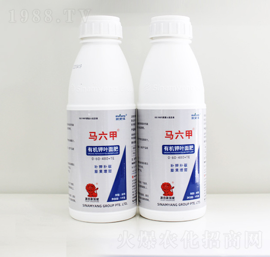 �R�����ЙC��~���-Сħ��