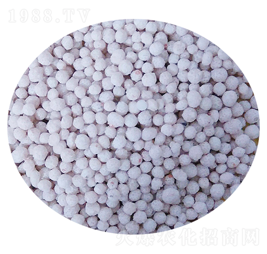 �w���ͺϷ���-���S