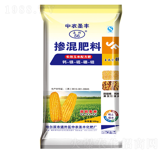 �LЧ���׌��Ó������14-18-10-���rʥ�S