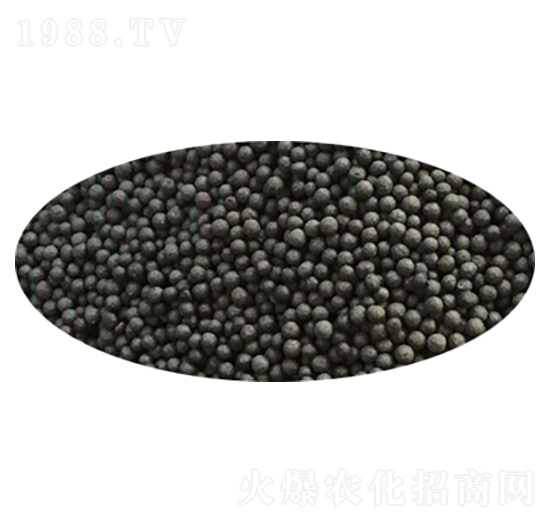 ΢�������2�|���-ʢ���Ƴ�