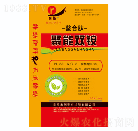 �����p�@-����