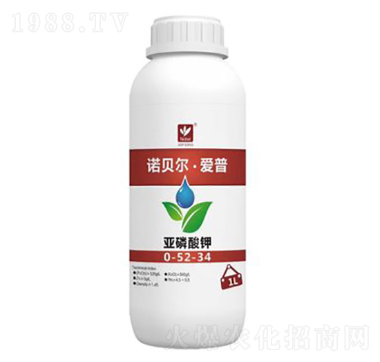 �������0-52-34-�Zؐ��������-������