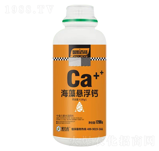 ����Ҹ��}-ؐ����-� ��S