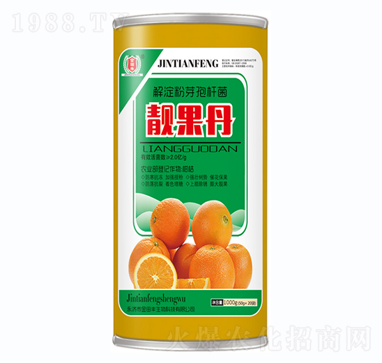 �����ѿ�ߗU��-�n����-�����S