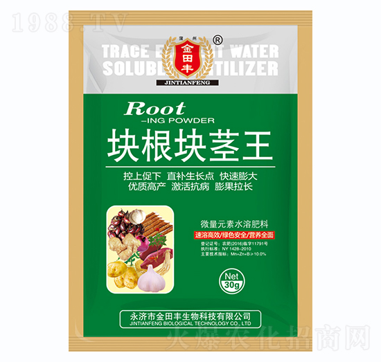 塊根塊莖王-金田豐