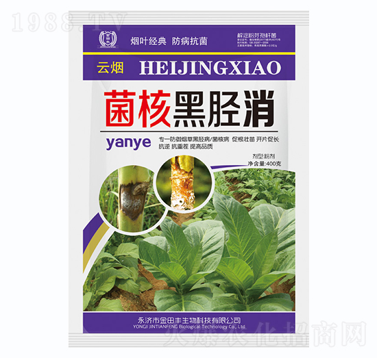 菌核黑脛消-金田豐