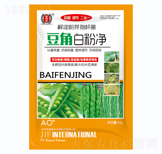 ���ǰ׷ۃ�-�����S