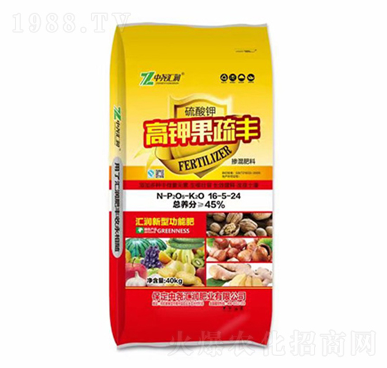 ��⛹����S�������16-5-24-�Ј�R��